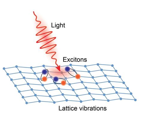 exciton phonon coupling.